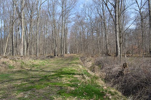 Property photo 112 - REAL ESTATE & PERSONAL PROPERTY AUCTION, 140 Acres offered in 8 Tracts or Combinations in Steuben County